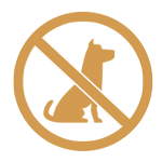 dogs not allowed